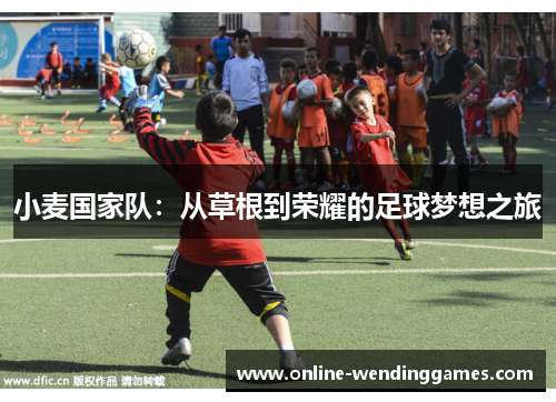 小麦国家队：从草根到荣耀的足球梦想之旅