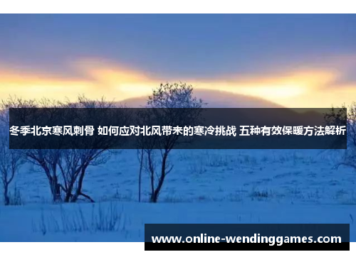 冬季北京寒风刺骨 如何应对北风带来的寒冷挑战 五种有效保暖方法解析