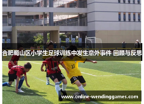 合肥蜀山区小学生足球训练中发生意外事件 回顾与反思