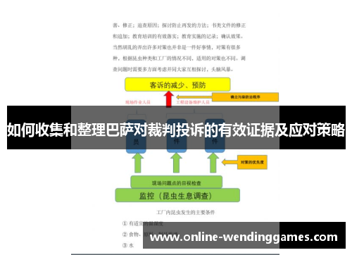 如何收集和整理巴萨对裁判投诉的有效证据及应对策略