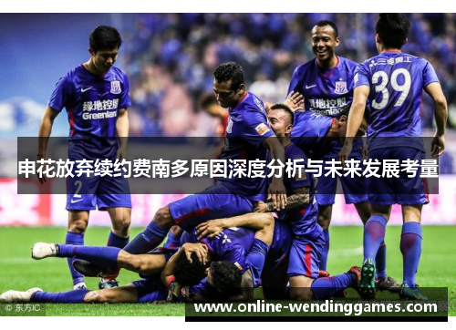 申花放弃续约费南多原因深度分析与未来发展考量