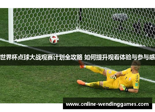 世界杯点球大战观赛计划全攻略 如何提升观看体验与参与感