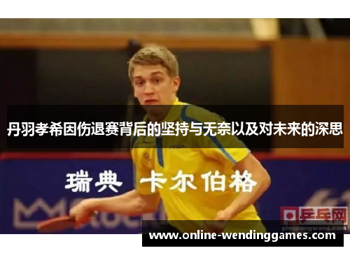 丹羽孝希因伤退赛背后的坚持与无奈以及对未来的深思