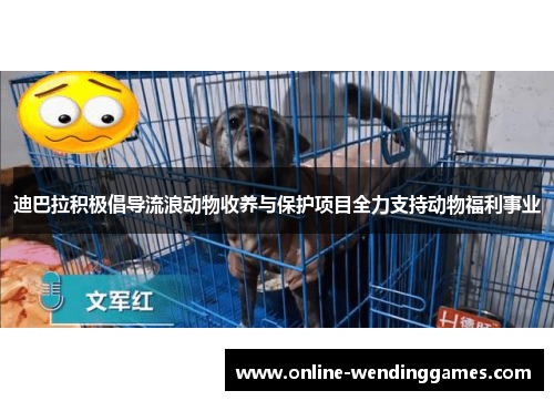 迪巴拉积极倡导流浪动物收养与保护项目全力支持动物福利事业